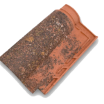 Romanischer Ziegel 10